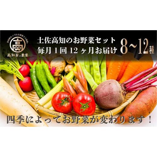 ふるさと納税 高知県 高知市 高知の新鮮野菜セット／旬の野菜を味わう12ヵ月便