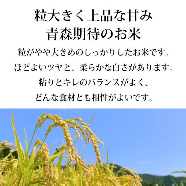 新米 令和5年産 5kg 青森県産 青天の霹靂 せいてんのへきれき 玄米 白米 7分づき 5分づき 3分づき 出荷日精米 送料無料米 お 米