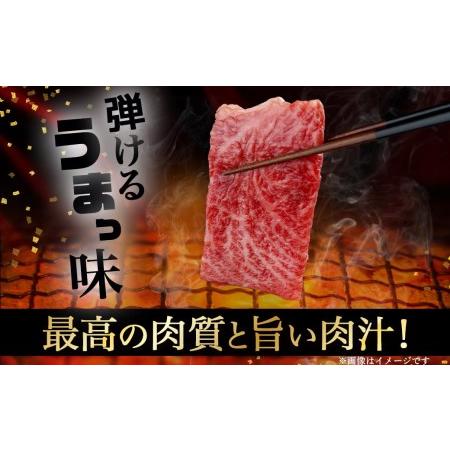 ふるさと納税 宮崎牛焼肉3種食べ比べセット_AC-0110_(都城市) 都城産宮崎牛 A5 三角バラ焼肉用 モモ焼肉用 イ.. 宮崎県都城市