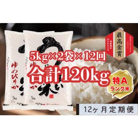 ふるさと納税 うりゅう米「ゆめぴりか」5kg×2袋 定期便！毎月1回・計12回お届け 北海道雨竜町