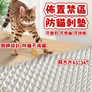 免運出貨💖防貓刺釘 驅貓刺墊 防貓刺釘 䮠貓刺墊 防跳防尿 防狗 防貓網刺墊 驅貓墊 防驅貓 驅貓神器 防貓刺墊