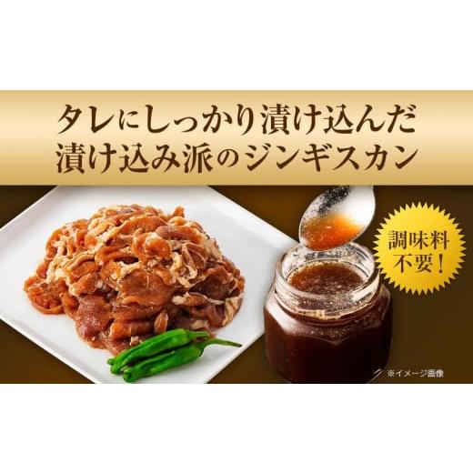 ふるさと納税 北海道 美唄市 ぶたのジンギスカン 500g 北海道 ジンギスカン ヘルシー 焼肉 肉 バーベキュー 豚 豚肉