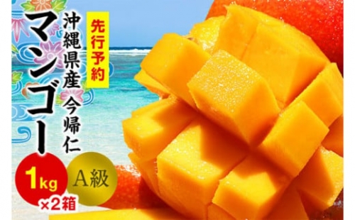 今帰仁マンゴーA級１kg×2箱生産者直送