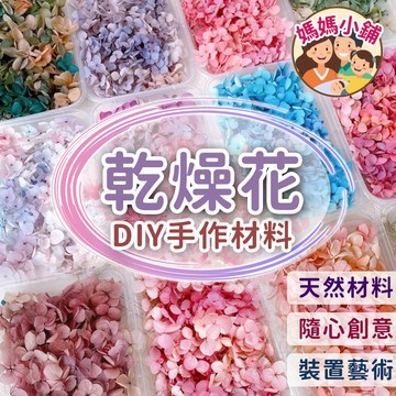 【買五送一﹞永生安娜繡球 繡球花 繡球 10克 安娜繡球 小葉繡球 繡球 DIY花材 花藝設計 花材 不凋花