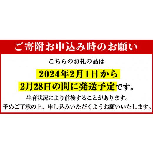 ふるさと納税 鹿児島県 阿久根市 《思いやり型返礼品》＜先行予約受付中！2024年2月上旬以降発送予定＞メークイン(計10kg)国産 じゃがいも ジャガイモ 芋 野菜…