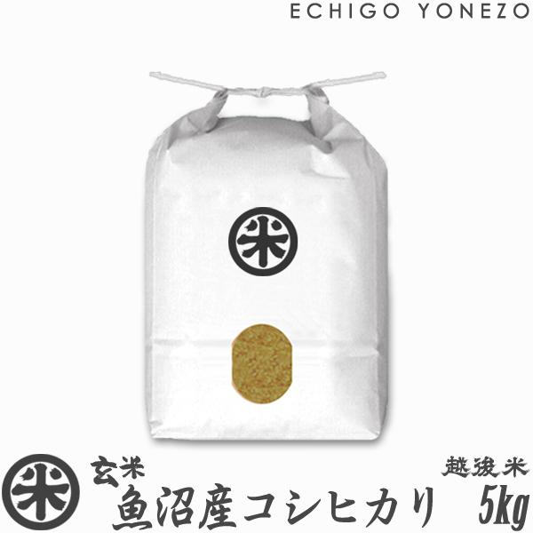 [新米 令和5年産] 玄米 魚沼産コシヒカリ 5kg (5kg×1袋) 厳選産地米 新潟米 お米 新潟県産 こしひかり 堀商店 送料無料 ギフト対応