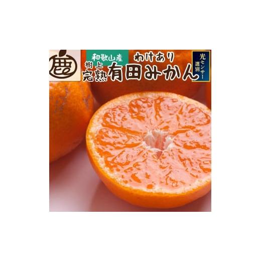 ふるさと納税 和歌山県 有田川町 完熟有田みかん3kg 90g（傷み補償分）