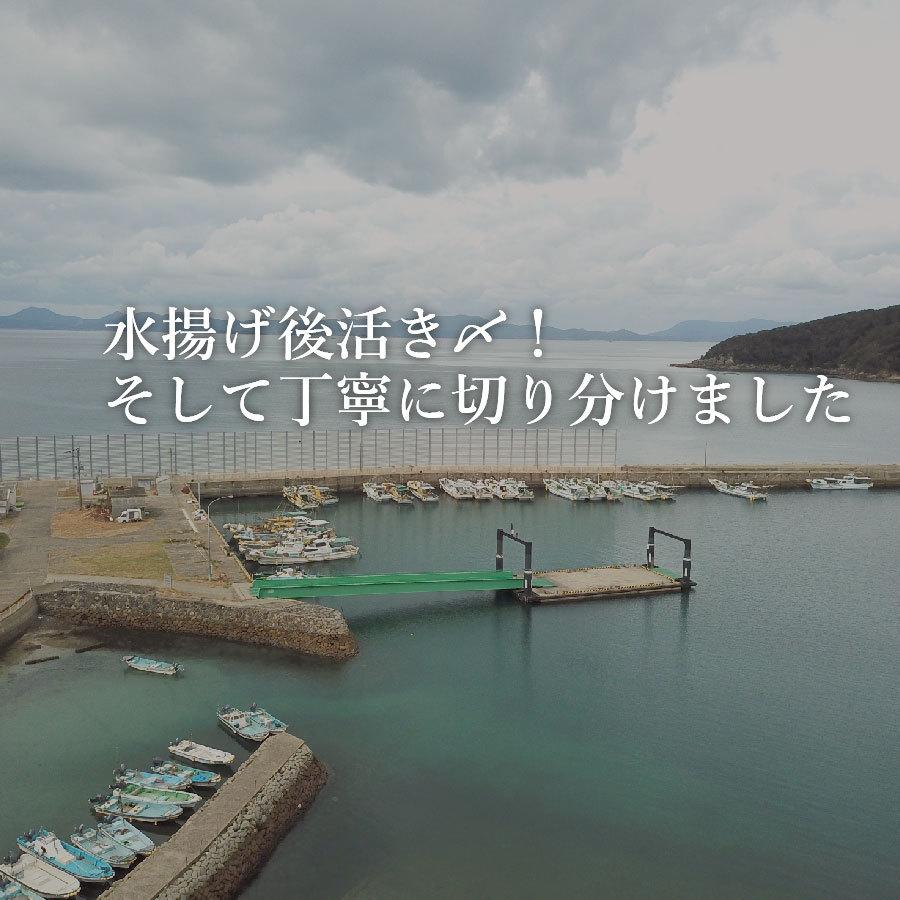 お歳暮 ギフト 長崎真鯛の海鮮丼(クエだし醤油付き)5食セット ギフト 送料込み 産地グルメ 海鮮丼 プロトン 刺身 よか魚イチオシ