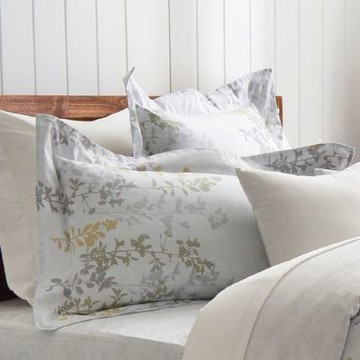 Cozy inn 雨露-200織精梳棉-枕套兩入