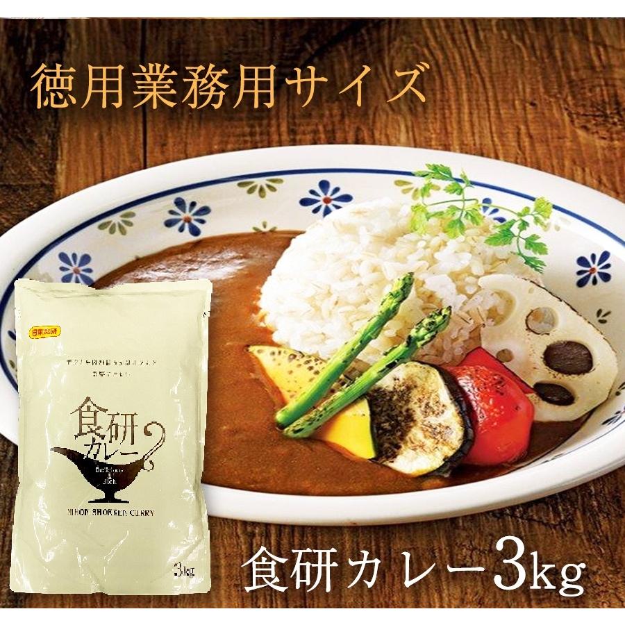 食研カレー 日本食研 3kg×4袋 欧風ビーフカレー 大容量 業務用 レトルト ケース販売