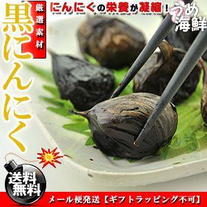 長期熟成で栄養満点★国産 熟成 黒にんにく お徳用 200g（100g×2個入り）にんにく ※代金引換不可 F