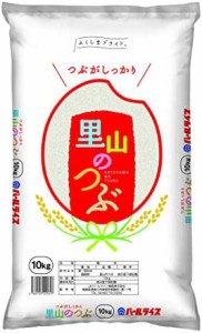  福島県産 白米 里山のつぶ 10kg 令和4年産