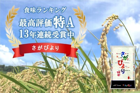 新米☆特A評価米☆ 令和5年産 さがびより 5kg B6-F082303