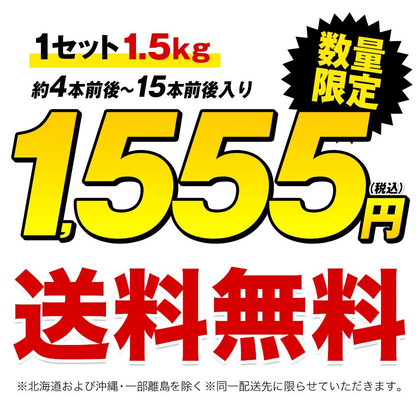 販売解禁 さつまいも 紅はるか べにはるか 1.5kg 送料無料 芋 熊本県産 スイーツ お取り寄せ 12月上旬-12月末頃より発送予定