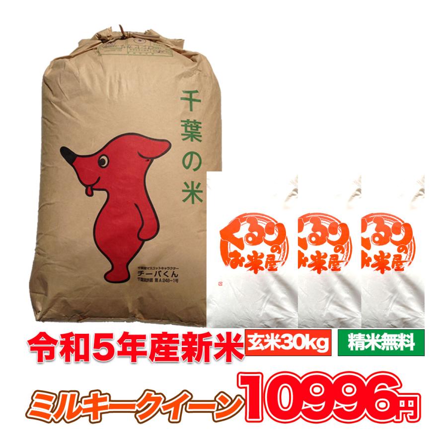 令和5年産京都府「丹後産コシヒカリ」玄米30㎏ 送料・標準精米無料サービス！ - 米・雑穀・粉類