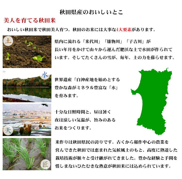 新米 米 白米 または 玄米 5kg あきたこまち 秋田県産 令和5年産 あきたこまち お米 5キロ 安い 送料無料