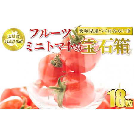 ふるさと納税 フルーツミニトマトの宝石箱　18粒 ※2024年1月〜3月下旬頃に順次発送予定 茨城県守谷市