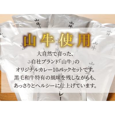 ふるさと納税 木城町 「山牛」のオリジナルカレー10パックセット