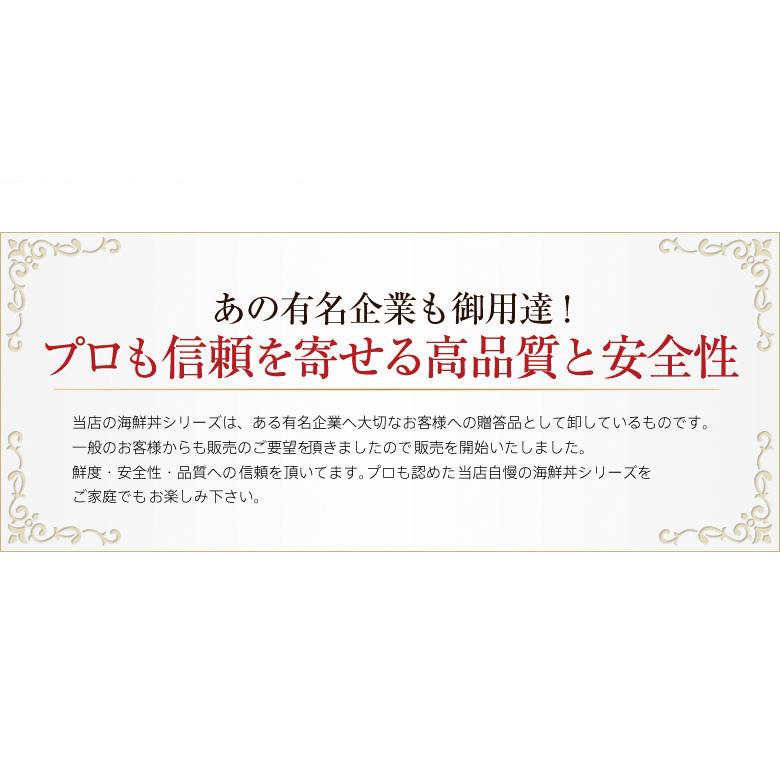 海鮮丼 詰合せ 5種×3パック 計15食 （国産 マグロ 鉄火丼   ねぎとろ丼   サーモンねぎとろ丼   とろサーモン漬け丼   イカサーモンねぎとろ丼） 送料無料