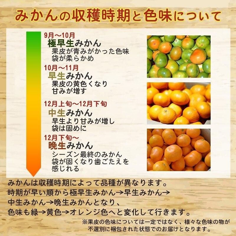 みかん 5kg（箱込約5kg） 和歌山県産 訳あり・ご家庭用 送料無料（東北・北海道・沖縄県除く）