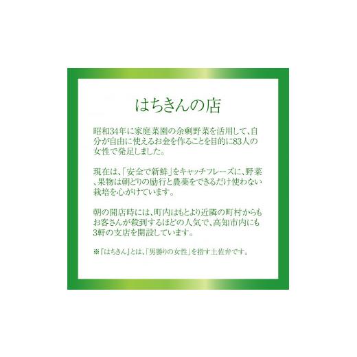 ふるさと納税 高知県 佐川町 はちきんの店 野菜 セット 7~10品 野菜詰め合わせ 詰合せ 高知の野菜 旬の野菜