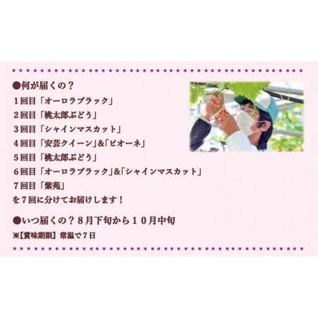 ふるさと納税 岡山県備前市産　樹上完熟ぶどう　味くらべセット 岡山県備前市