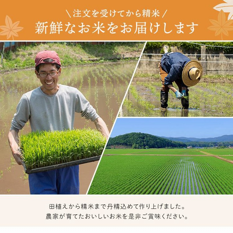 つや姫 20kg お米 20kg 米 送料無料 白米 安い 5kg×4袋 一等米 つや姫 20kg お米 20kg 米 送料無料 白米 安い 5kg×4袋 一等米