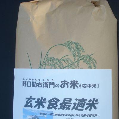 ふるさと納税 美浦村 野口勘右衛門のお米「玄米食最適米(ミルキークイーン)」玄米10kg