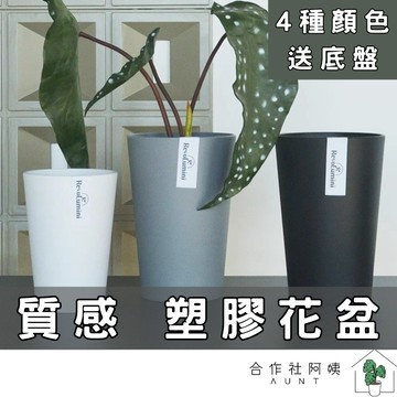 【現貨-隔日配】塑膠花盆 花盆 塑膠盆 園藝 園藝花盆 水泥盆 花盆 多肉花盆 盆器 無孔 035
