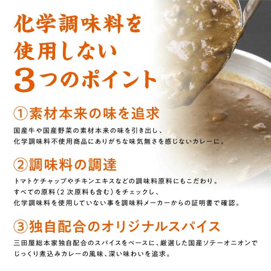 三田屋 総本家 レトルトカレー  送料無料 国産牛と国産野菜のビーフカレー 180g×8箱 ご自宅用 通販限定商品