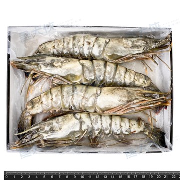 海草蝦(實重370g/4尾/盒)#370-1C4A【魚大俠】SP102