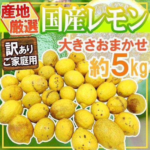 ”完熟国産レモン” 訳あり 約5kg 大きさおまかせ 産地厳選 送料無料