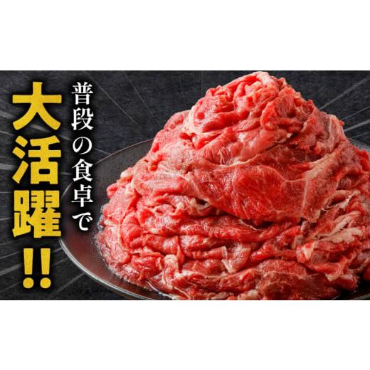 ふるさと納税 宮崎県 宮崎市  《年内発送》宮崎牛 切り落とし (500g×2) 合計1kg｜牛肉 和牛 国産 切り落とし｜_M243-018