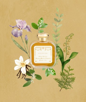 生日送禮!【Santa Maria Novella】MUSCHIO ORO 燦金麝香香水 (50ml)