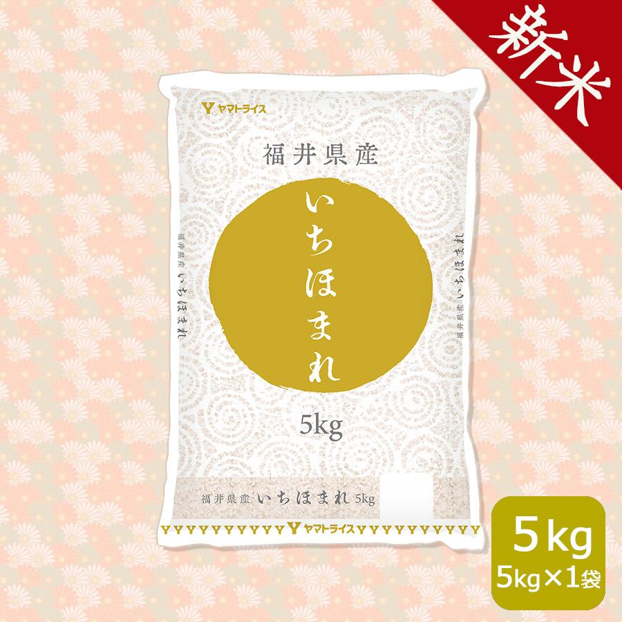 福井県産 いちほまれ 白米 5kg 令和4年産