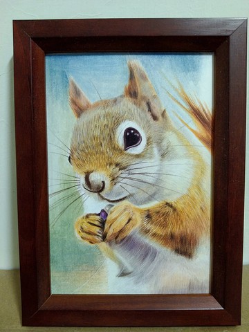 擺設 / 松鼠 / 色鉛筆畫 / 原稿 / 含框