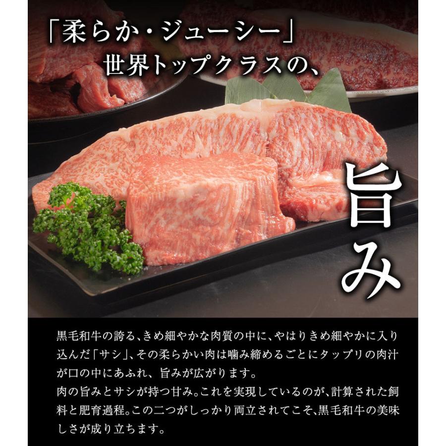 黒毛和牛 サーロイン ヒレ ステーキ 2枚セット 450g 送料無料 九州産  300g  国産 ステーキ ヒレ肉 和牛 7-14営業日以内に出荷予定(土日祝除)