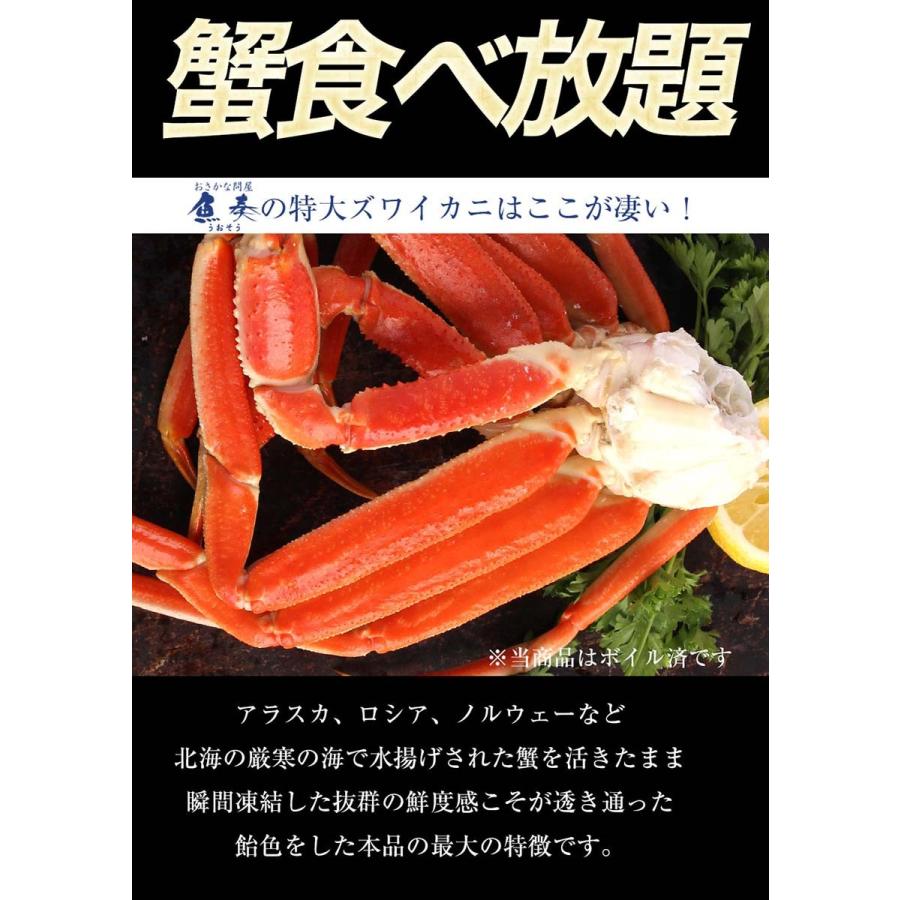 ボイル ズワイガニ 脚 5kg 訳あり しゃぶしゃぶ用 ずわい ボイル メガ盛り かに カニ 蟹