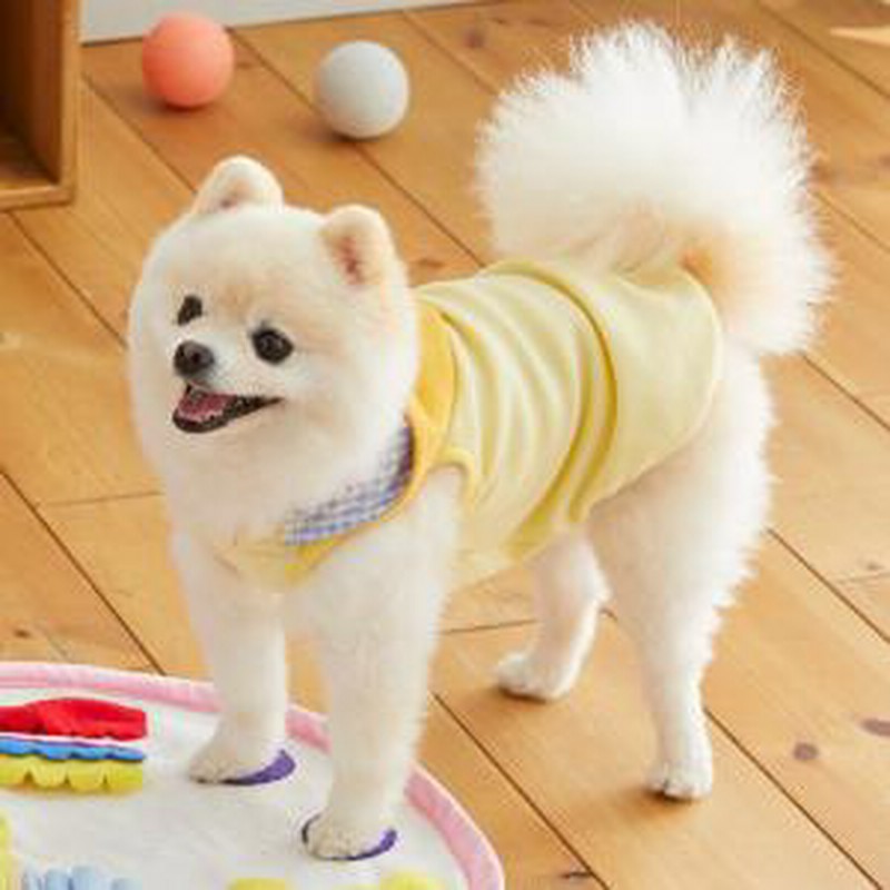Sippole Sippole ストレッチパーカー イエロー 3号 犬服 ドッグウェア 通販 Lineポイント最大get Lineショッピング