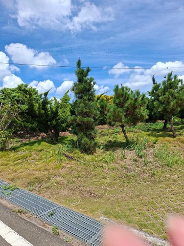 中壢社區大樓 桃園大園區高鐵甲種建築用地｜桃園市大園區舊厝段