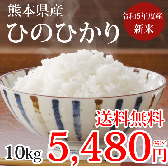 ひのひかり 米 10kg 令和5年産 新米 熊本県産 お米 白米 玄米 コシヒカリ 森のくまさん