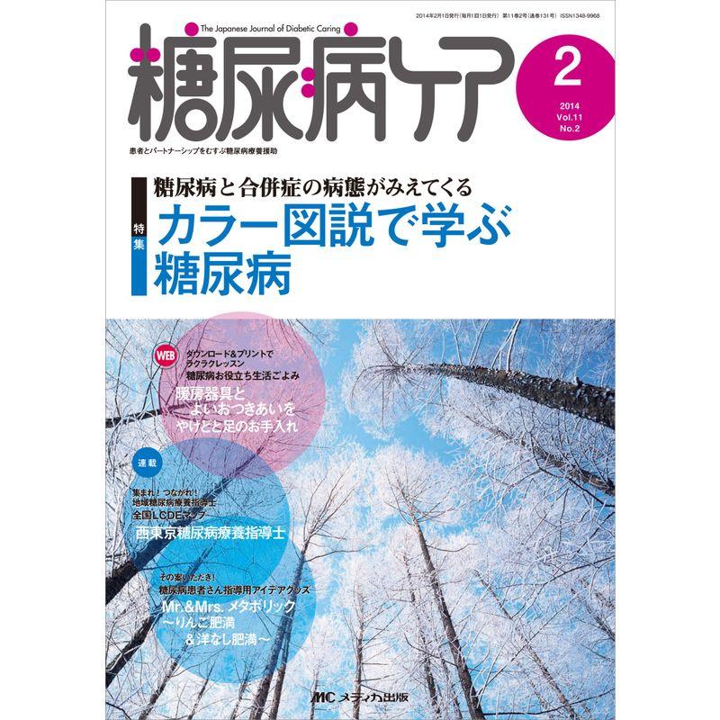 糖尿病ケア 2014年2月号(第11巻2号) 特集:糖尿病と合併症の病態がみえてくる カラー図説で学ぶ糖尿病