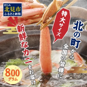 北見市加工 生冷本ズワイガニセット 800g 昆布入 海鮮 魚介類 魚介 蟹 かに カニ セット 鍋 カニ鍋 カニ爪 ズワイガニ かにしゃぶ カット済 贈答 ギフト 熨斗 のし ふるさと納税