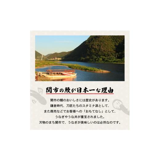 ふるさと納税 岐阜県 関市 G17-01 孫六 うなぎ炭火焼 2人前（冷凍真空パック）