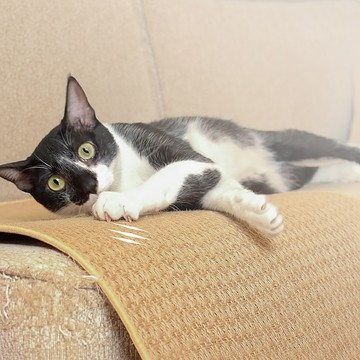 【瑪思特】貓抓睡墊 寵物地墊 80x50cm 劍麻井二紋