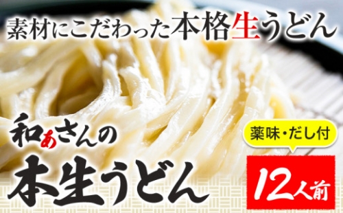 おうどんセット 12人前 和ぁさん家、株式会社栄工製作所 《90日以内に順次出荷(土日祝除く)》うどん 麺 生麺 生うどん 本格 手作り 和食 ご家庭用 こだわり お手軽 ギフト セット 薬味 だし付き 徳島県 美馬市