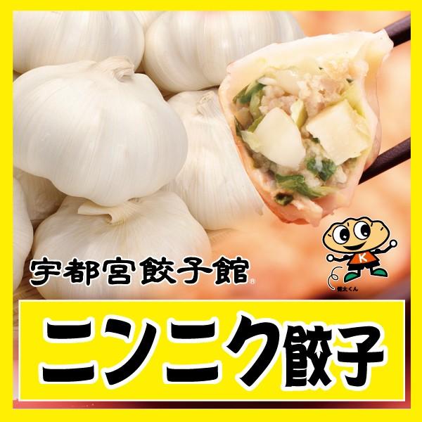 宇都宮餃子館 人気の３種セット お歳暮 のし対応可