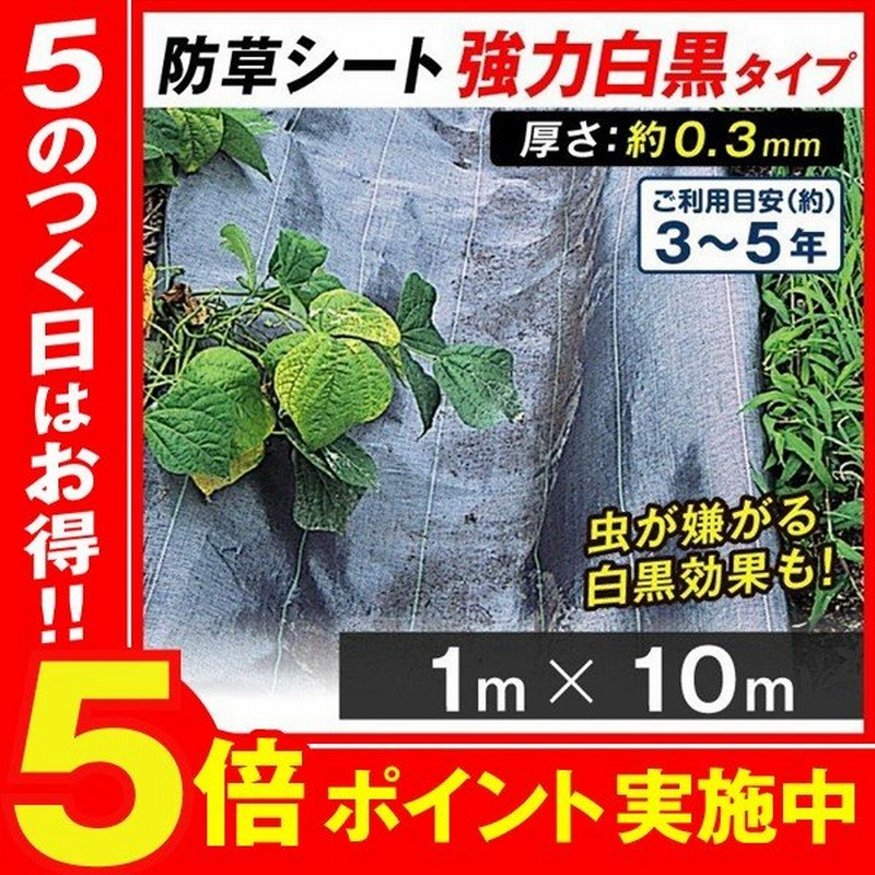 防草シート 強力防草シート 白黒 1m 10m 1巻 厚さ0 3mm 農用シート 草よけシート 除草シート 雑草防止 高耐久 耐用年数 3 5年 砂利下 人工芝下 国華園 通販 Lineポイント最大0 5 Get Lineショッピング