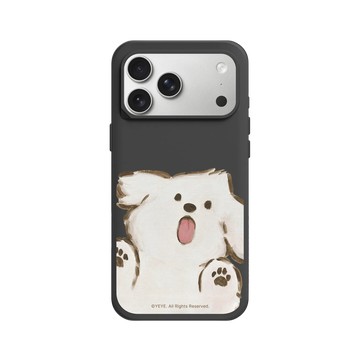 iPhone 17 Pro Max SolidX 黑 - YEYE - 溢出的喜悅