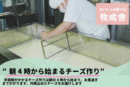 ＜牧成舎＞飛騨の牛乳屋が作る、自家製チーズたっぷりミニピザ5枚セット b604